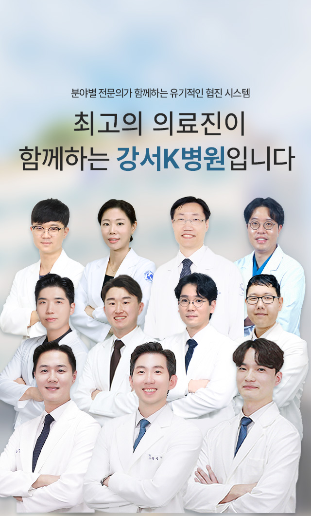 의료진 전체